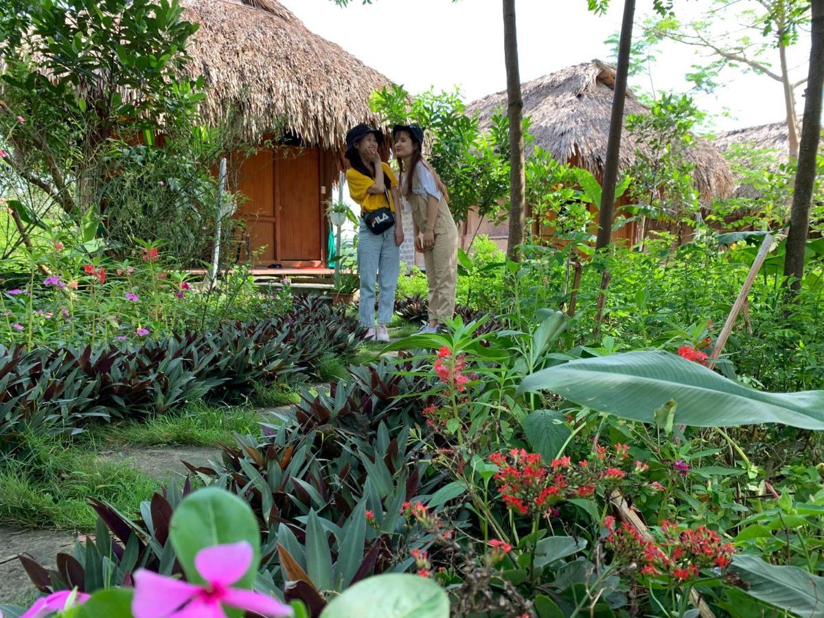 Nho Quan Cuc Phuong Bungalow מראה חיצוני תמונה