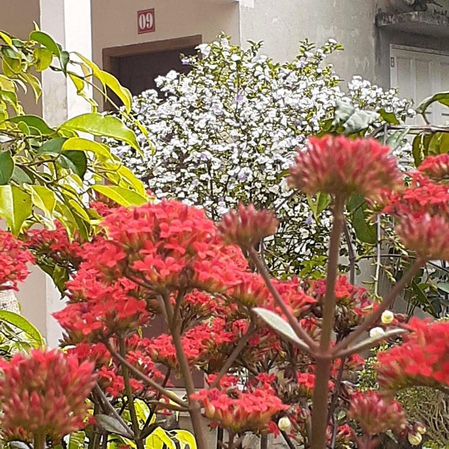 Nho Quan Cuc Phuong Bungalow מראה חיצוני תמונה