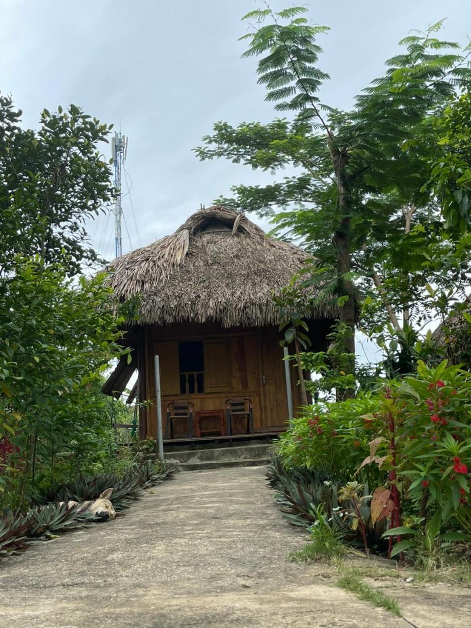 Nho Quan Cuc Phuong Bungalow מראה חיצוני תמונה