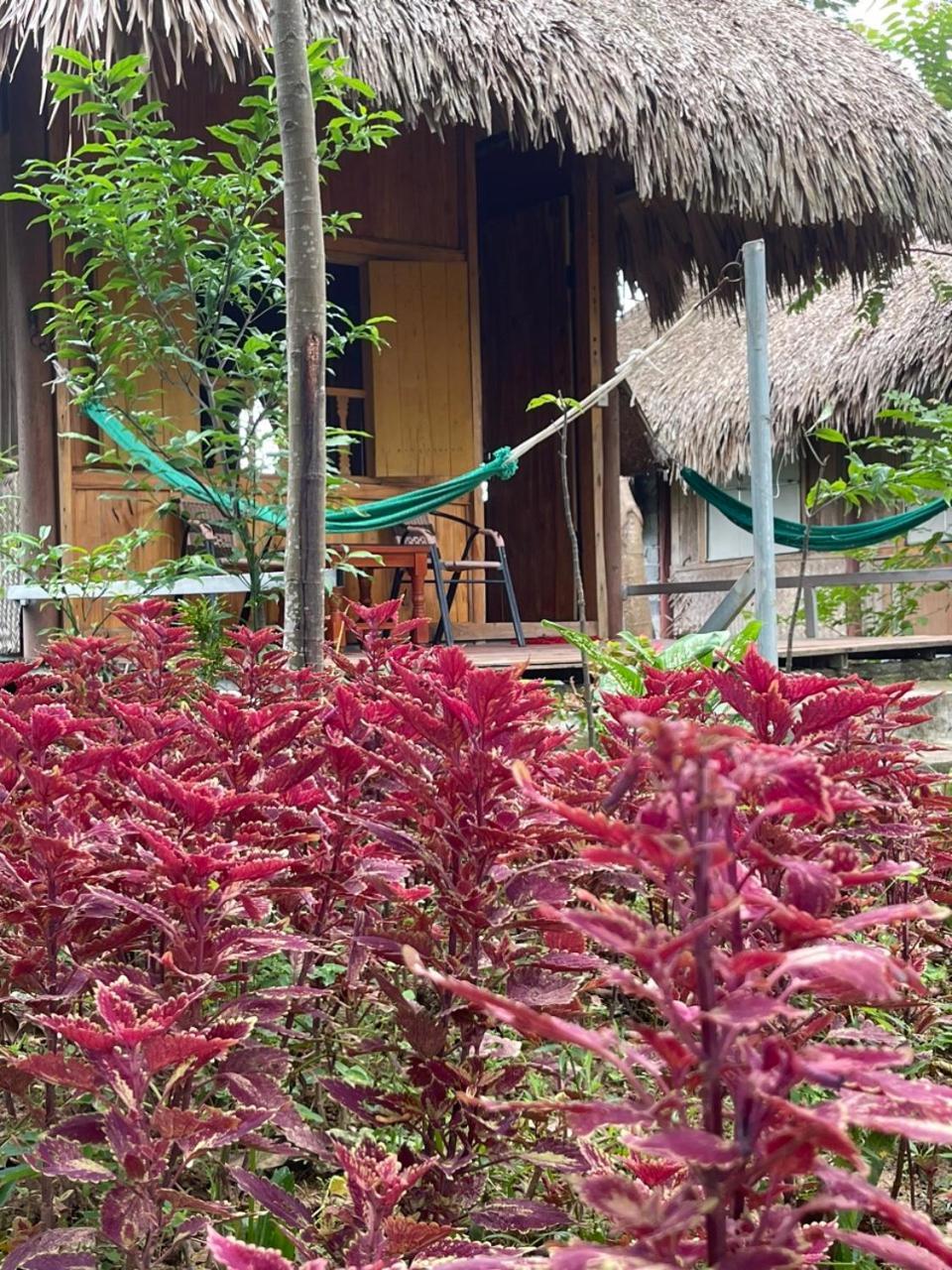 Nho Quan Cuc Phuong Bungalow מראה חיצוני תמונה